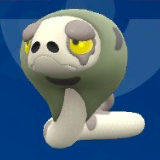 スナヘビの色違いの見た目