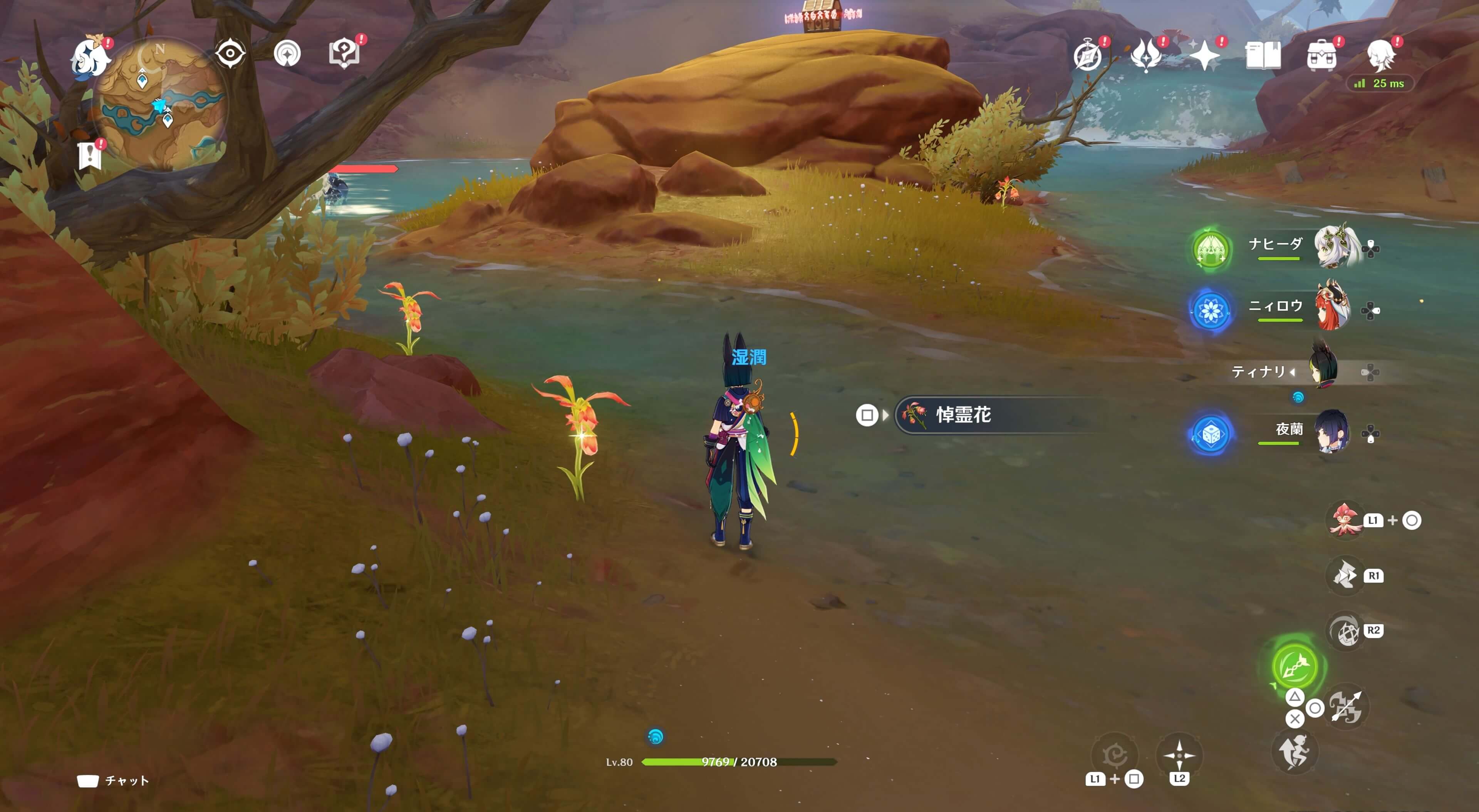 悼霊花_ファラクケルトの園⑳