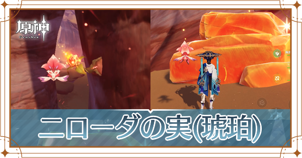 二ローダの実の場所と琥珀の壊し方