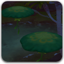 不思議なトントンキノコ