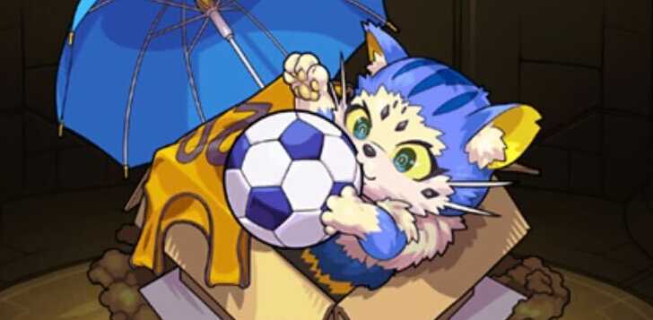 スパイニャーの画像