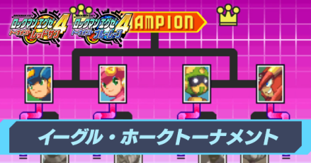 イーグル・ホークトーナメント