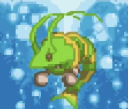 バブルブイ画像