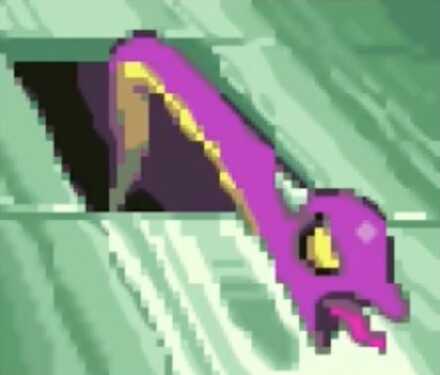 カモンスネーク画像