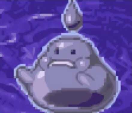 スチールゼリー画像