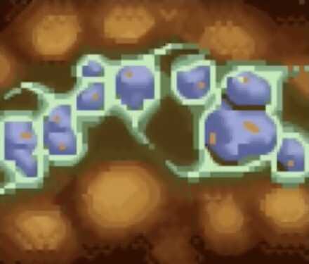 バグチェーン画像