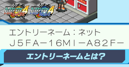 エントリーネーム