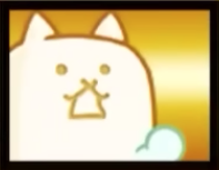 ネコウォッシュの画像