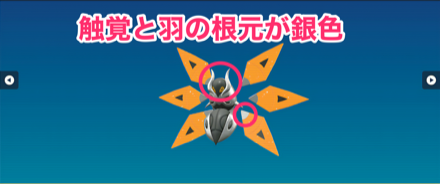 色違いテツノドクガの見分け方