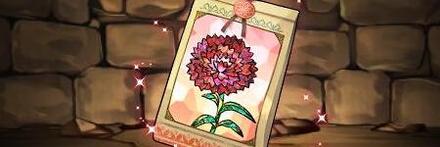 【9990】カーネーションの種子