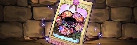 【9988】ラフレシアの種子