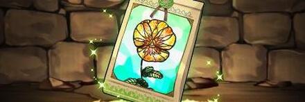 【9986】パンジーの種子