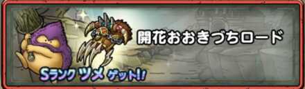 開花おおきづちロード