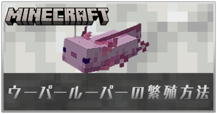 ウーパールーパー