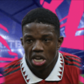 HPティレルマラシア(04/24)画像