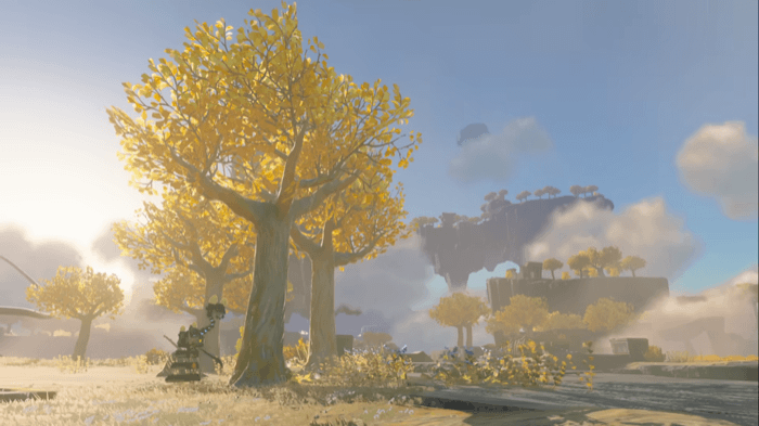 空島のゴーレム