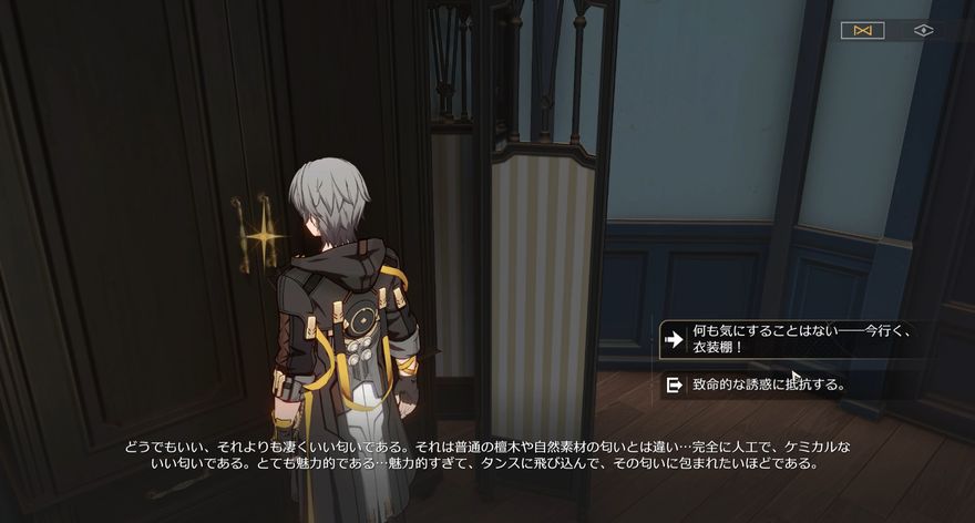 ゲーテホテルのクローゼット