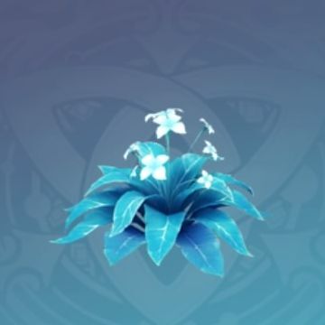 「水光の煙火」の画像