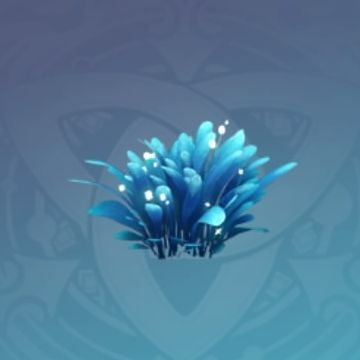 「佇む波花」の画像