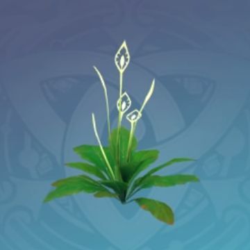 「清き花水の青戊」の画像