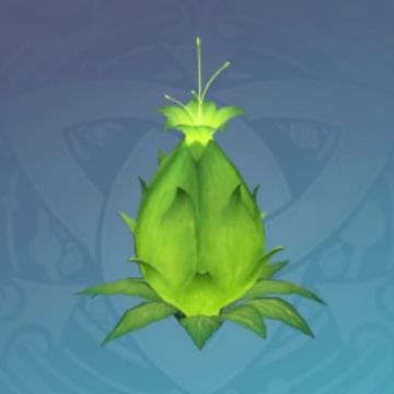 「清き花水の青実」の画像