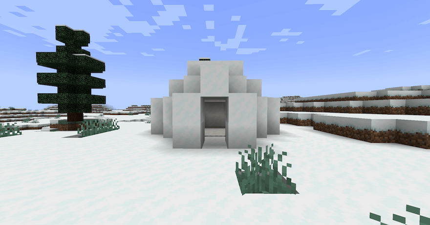 イグルーは雪のバイオームに生成される