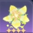 永久の花画像