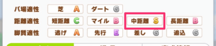 中距離適性S