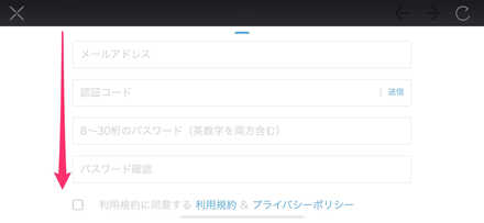 各種内容を入力
