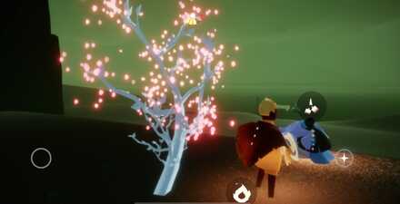 若木を見つけたら若木付近に60秒間留まる