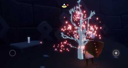 若木を見つけたら若木付近に60秒間留まる