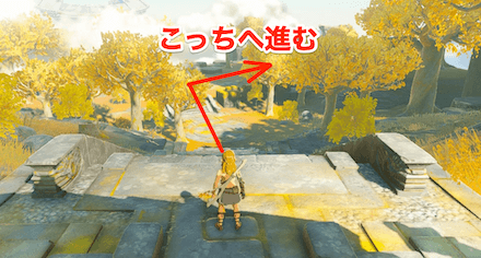 石畳沿いを進む