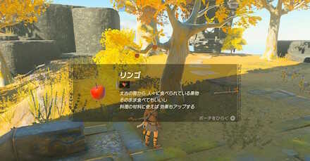 空島のりんごの場所