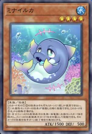 ミナイルカ画像