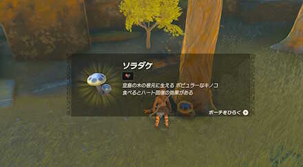 道中で食材や武器を回収しよう