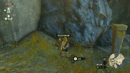 ポカポカ草の実の入手場所の見た目