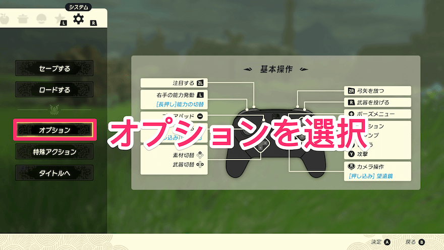 オプションを選択