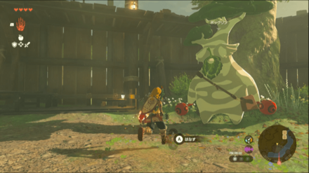 ボックリンの見た目