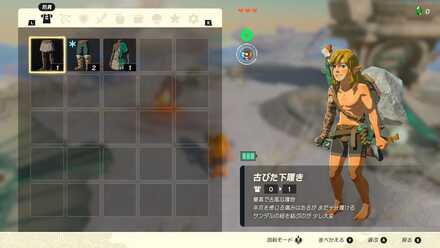 耐えられない寒さに震えるリンク