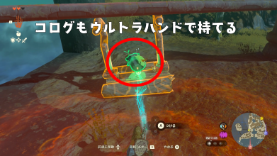 ウルトラハンドでコログを持つ