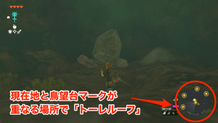 ミニマップの鳥望台マークで「トーレルーフ」使用
