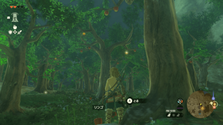 リンゴの入手場所