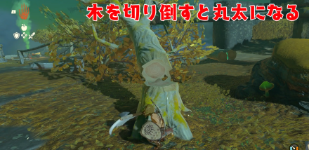 木を切って丸太にする