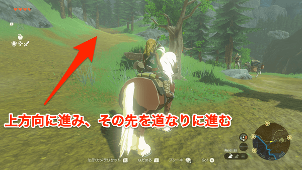 池を通り越した先の分岐は上に向かって進む