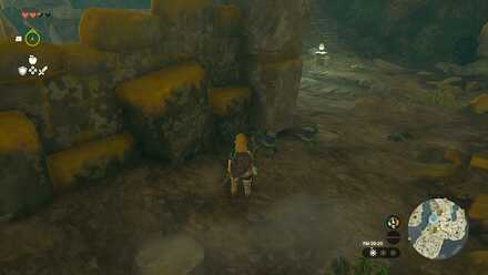 バクダン花の入手場所の見た目