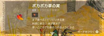 ポカポカ草の実を取る