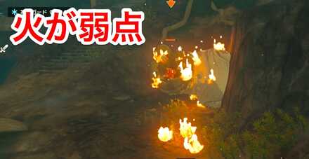 ライクライクは火が弱点