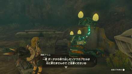 ゾナウカプセル