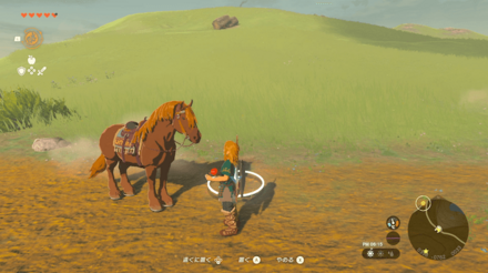 手から直接与える