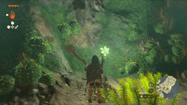 アカリバナの種